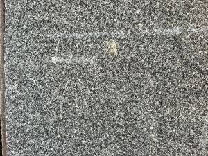 bf8c5428-d02a-4188-9ac6-376baf37af8d