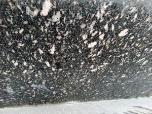 f2f94f8f-c1c2-4a0a-9402-b5b646eea0c1